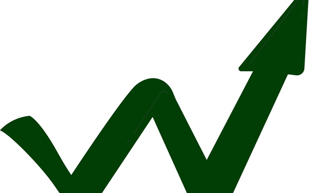How To Add Negative Keywords for Pmax (Performance Max) Campaigns